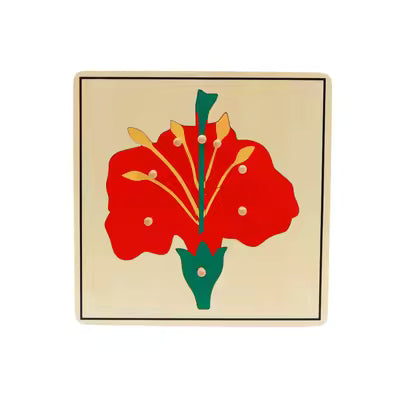 Montessori Botany Cabinet
