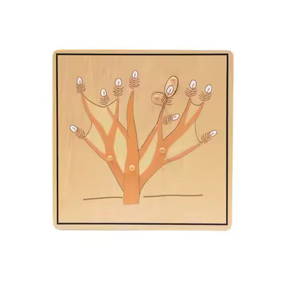 Montessori Botany Cabinet