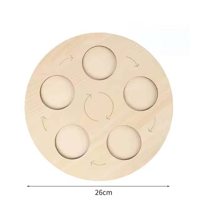 Frog Life Cycle Montessori