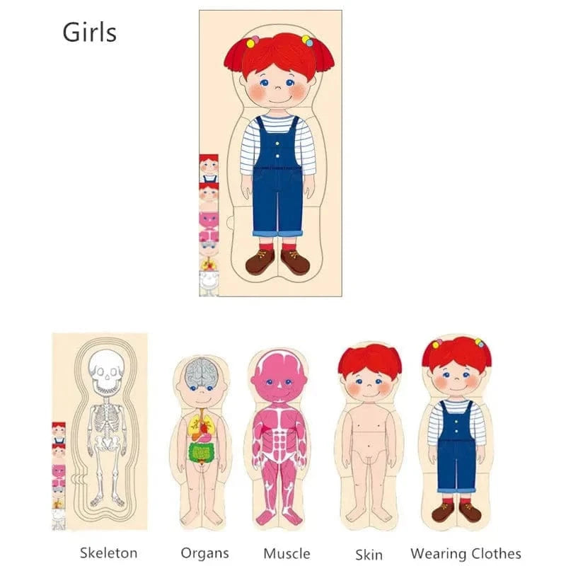 Human Body Puzzle Montessori