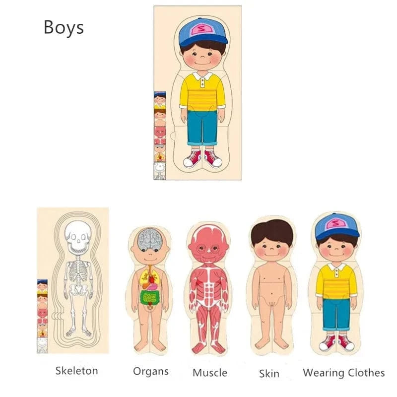 Human Body Puzzle Montessori