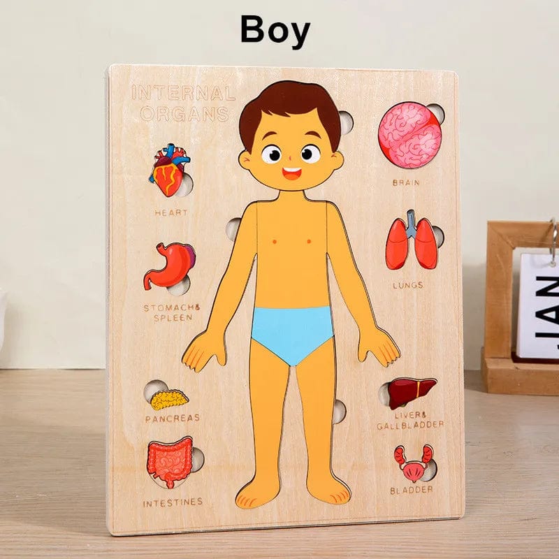 Human Body Puzzle Montessori