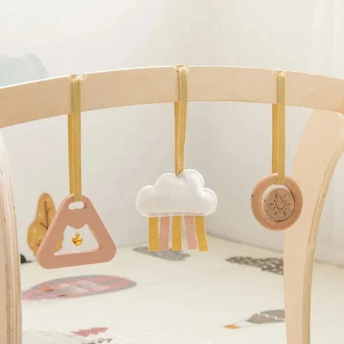 Montessori Activity Gym