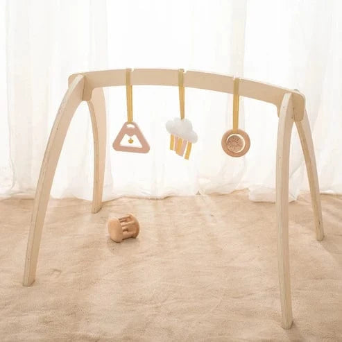 Montessori Activity Gym