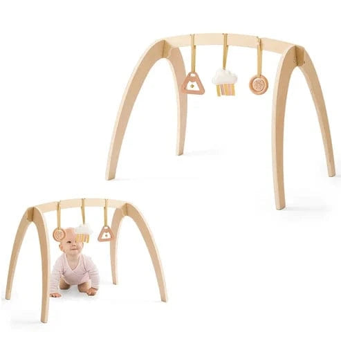 Montessori Activity Gym