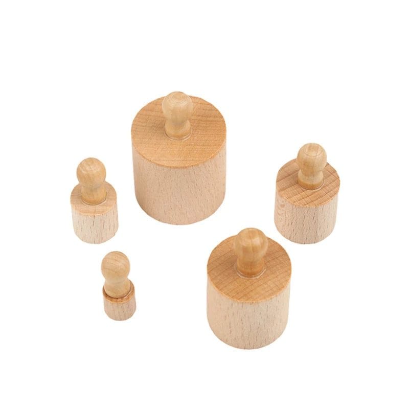 Montessori Cylinder Puzzle