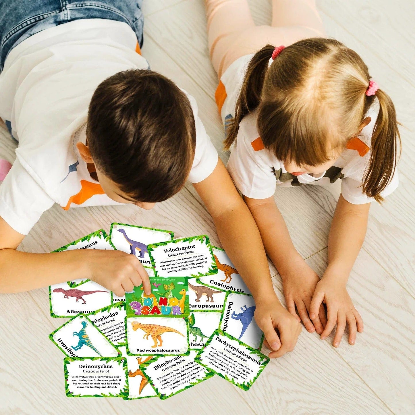 Montessori Dinosaur Cards
