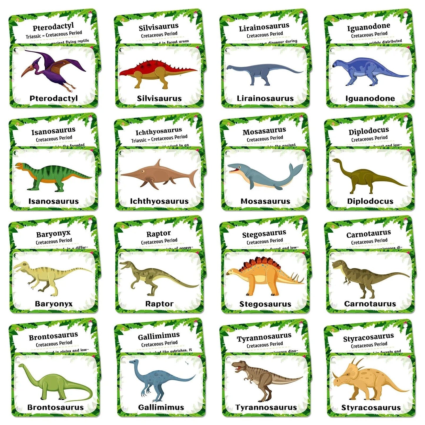 Montessori Dinosaur Cards