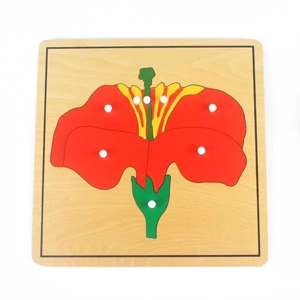 Montessori Parts of the Flower Puzzle