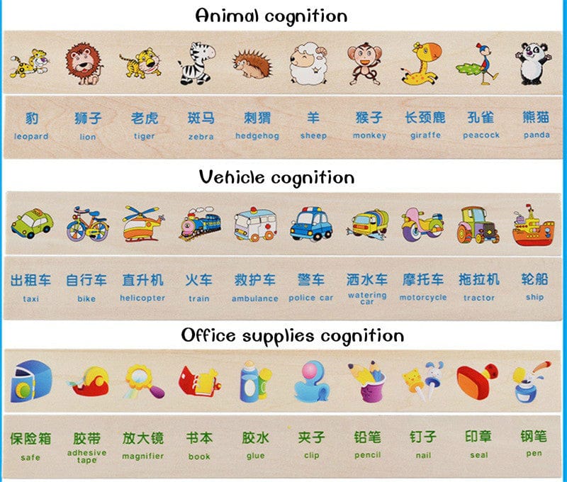 Montessori Sorting Toy