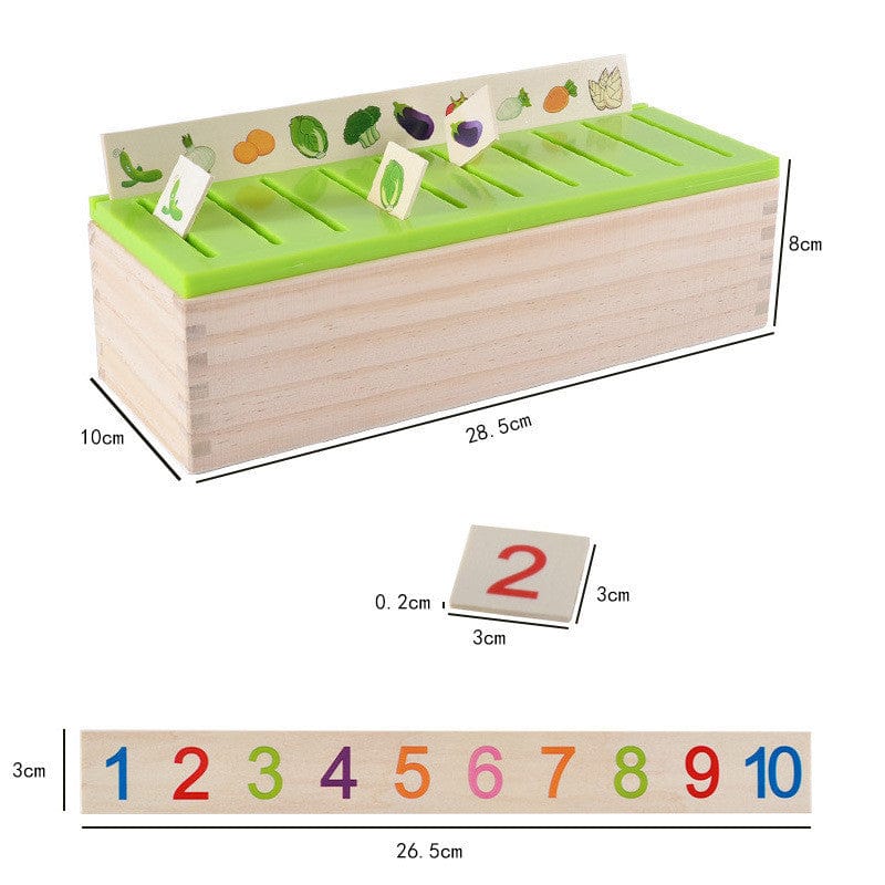 Montessori Sorting Toy