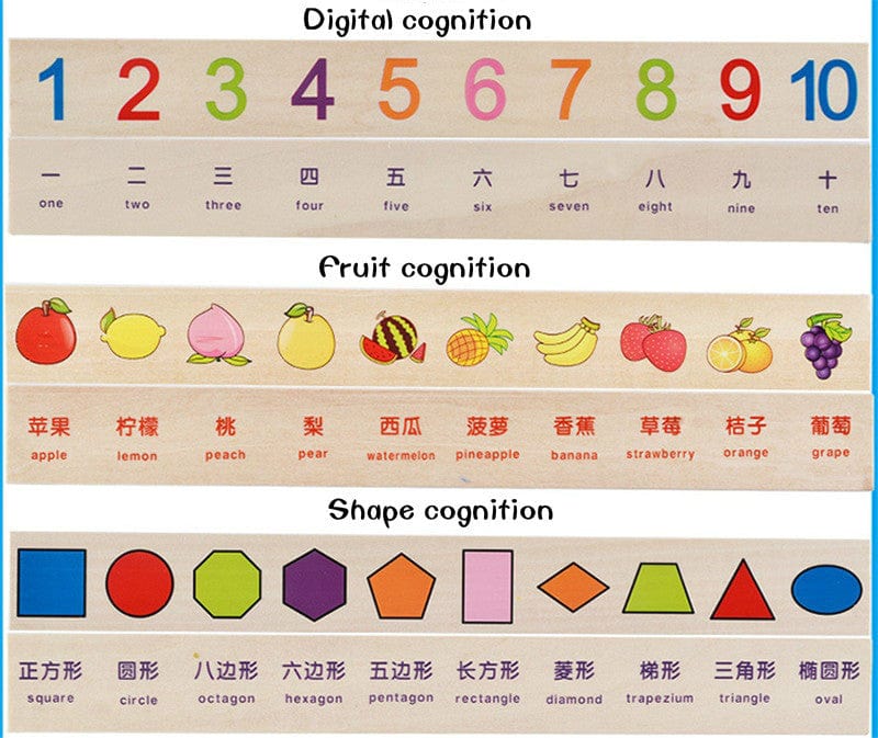 Montessori Sorting Toy