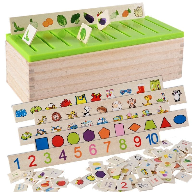 Montessori Sorting Toy