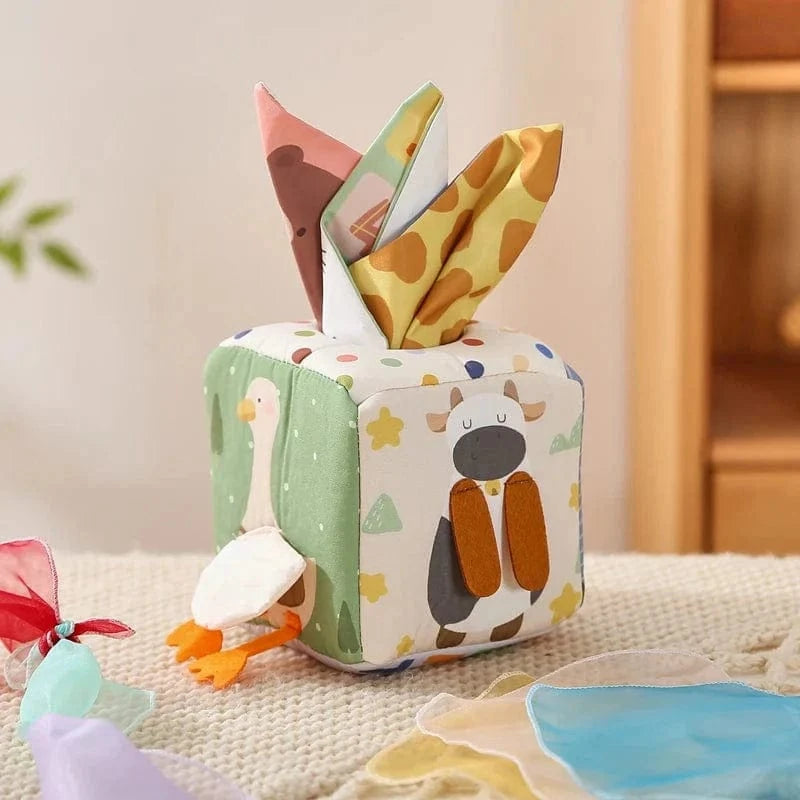 Montessori Tissue Box