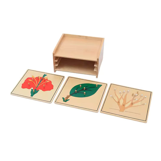 Montessori Botany Cabinet