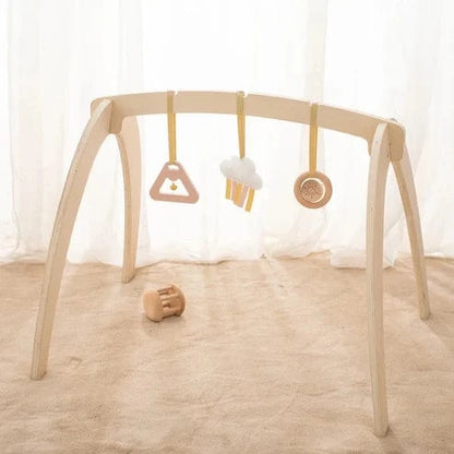 Montessori Activity Gym