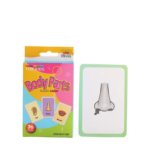 Montessori Body Parts Cards