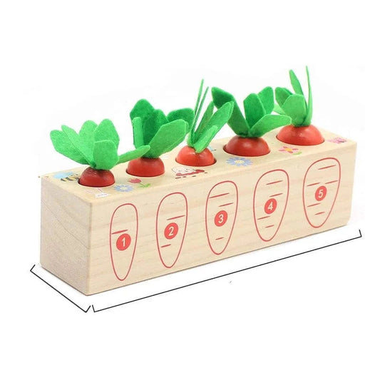Montessori Carrot Toy