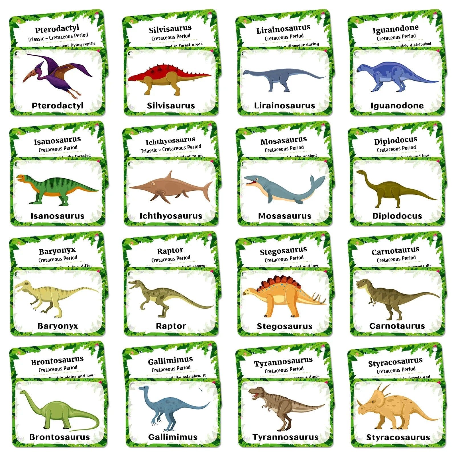 Montessori Dinosaur Cards