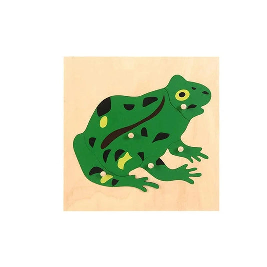 Montessori Frog Puzzle