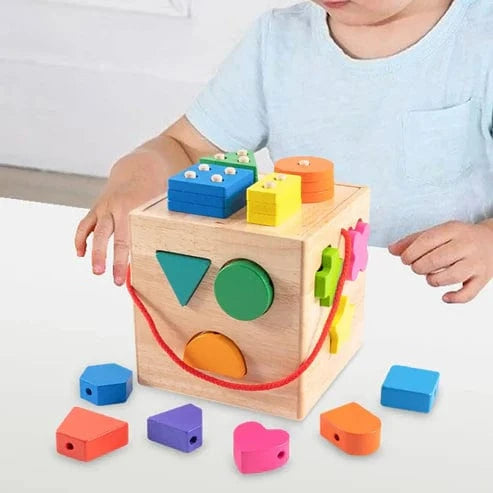 Montessori Shape Sorter