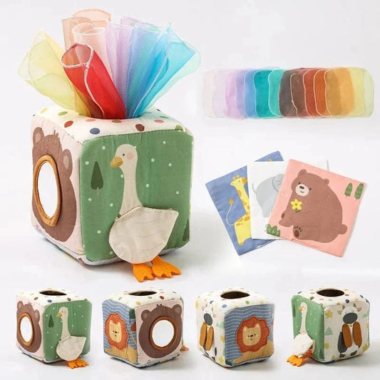 Montessori Tissue Box