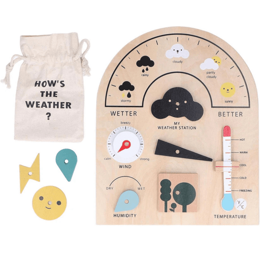Montessori Weather Board